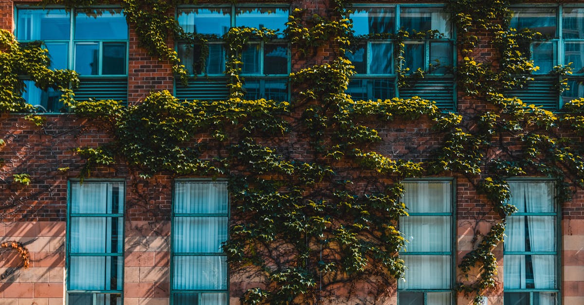 哈佛線上碩士 - 結語：做一個清楚知道自己在買什麼的消費者