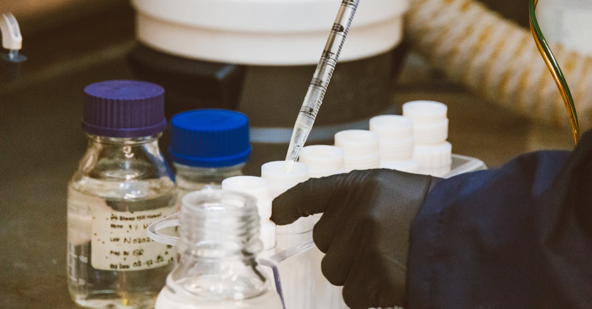 約翰霍普金斯線上碩士 - JHU 線上 vs 實體碩士：學位是否相同？