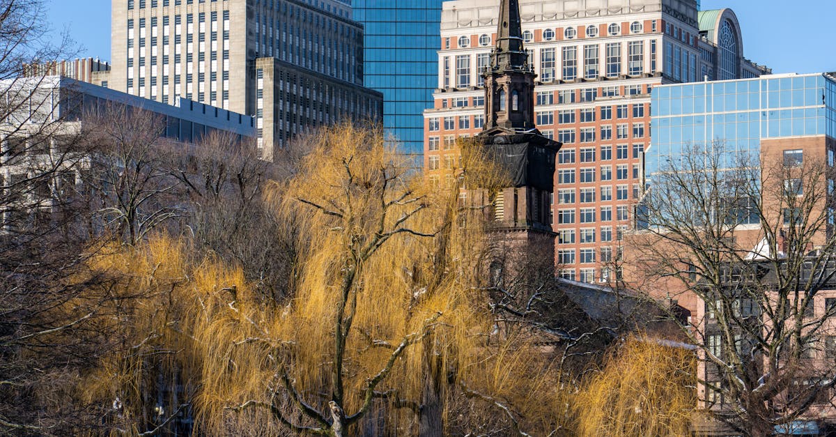 斯坦福線上碩士 - Stanford 非學位線上選項：Graduate Cert