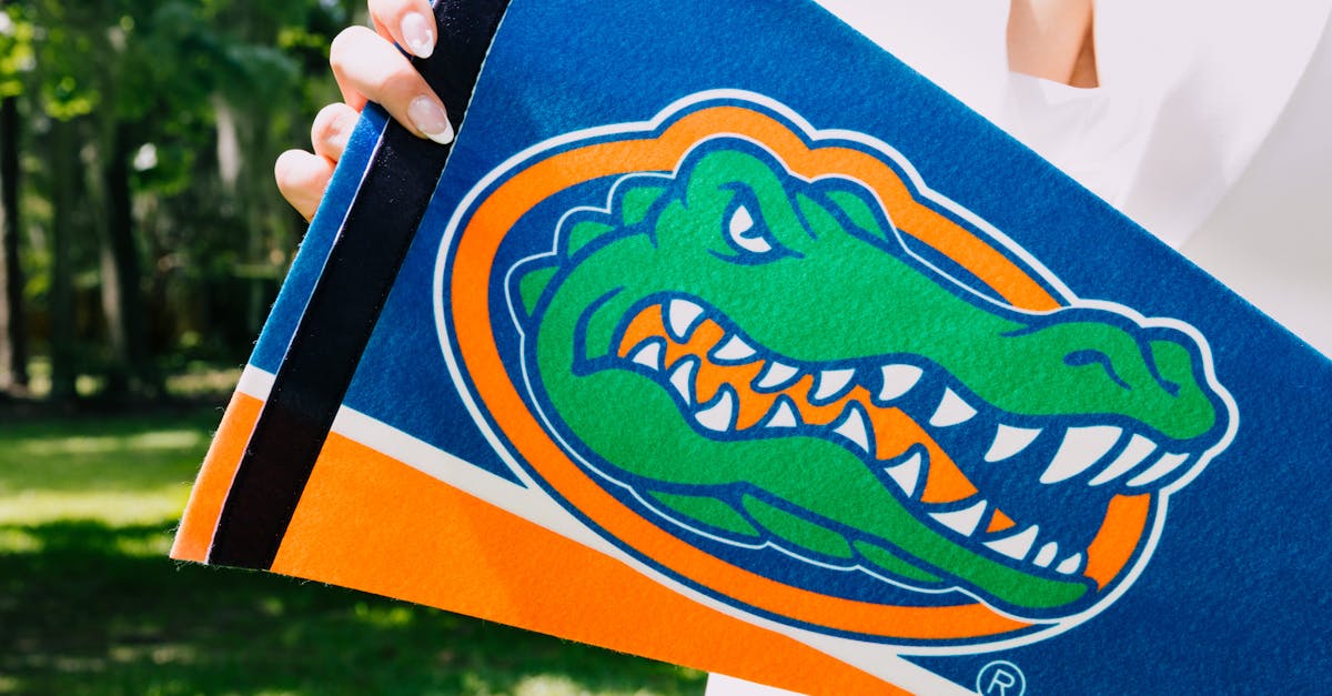 佛羅里達大學線上碩士 - 為什麼佛羅里達大學是公立大學線上碩士的代表？