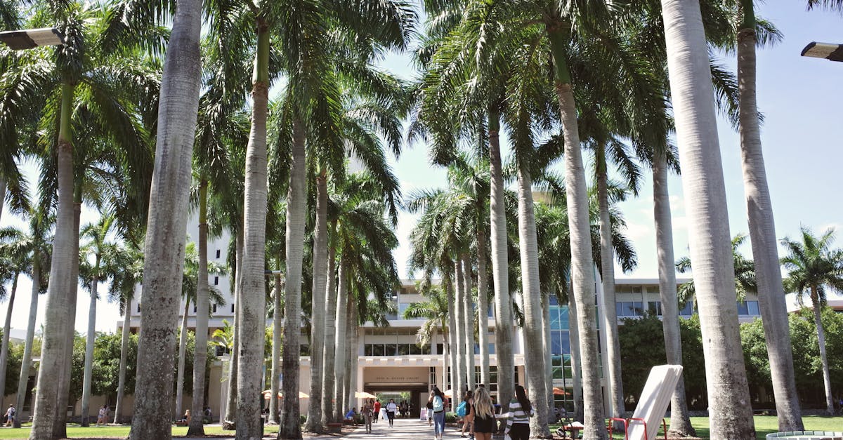 佛羅里達大學線上碩士 - UF 線上碩士的申請門檻：你夠格嗎？