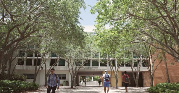 佛羅里達大學線上碩士