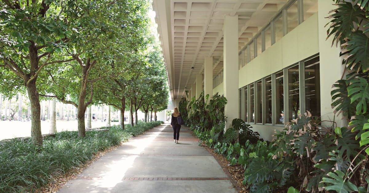 美國線上碩士 - 美國線上碩士入學門檻大比較：GMAT、TOEFL、GPA、工