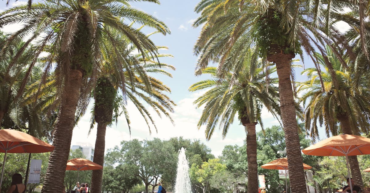 USC 線上碩士 - Rossier 線上教育碩士：全美排名第一的教育研究所