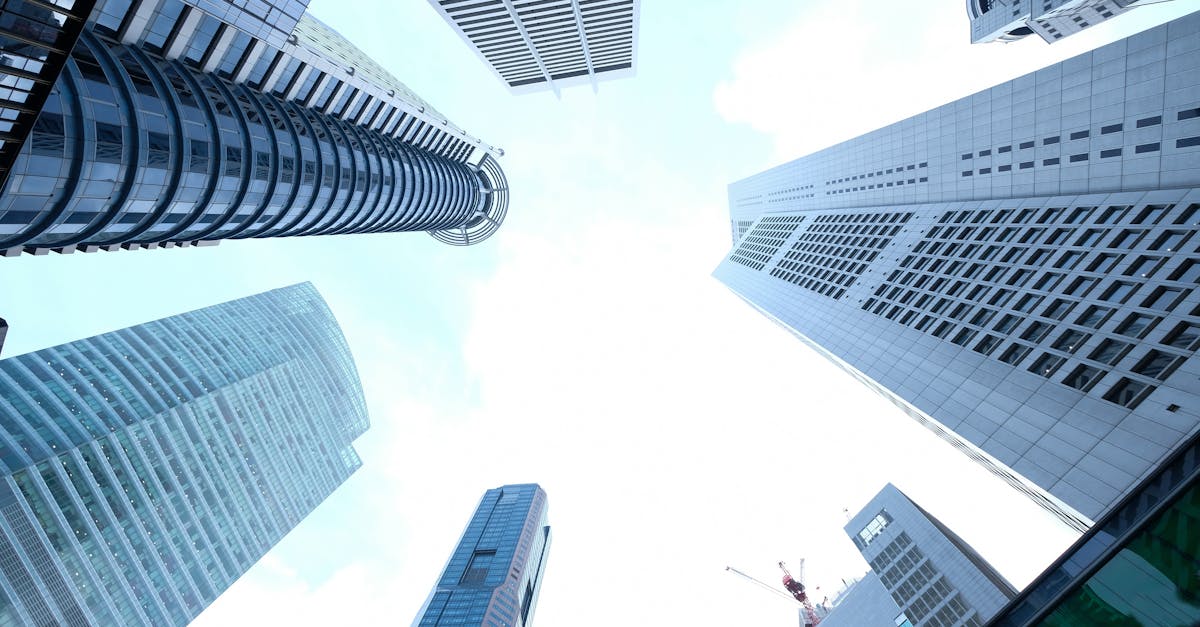 財富自由 - H2 三：投資路徑中 MSF 與 CFA 的真實角色